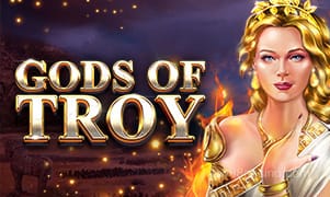 Ảnh trò chơi Gods Of Troy